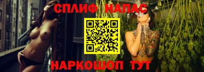 гидропоника Сланцы