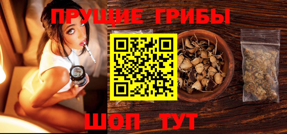 Галлюциногенные грибы Cubensis Ставрополь